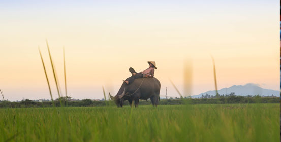 destinazioni alternative vietnam rurale